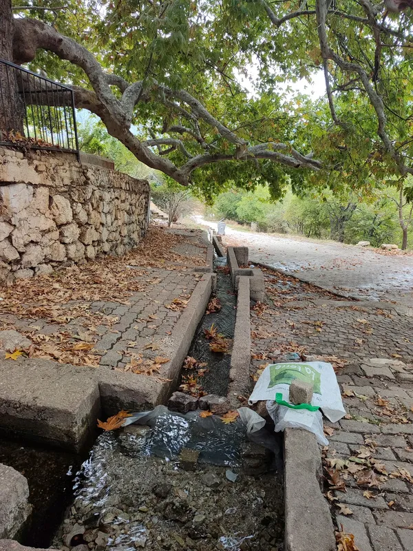 Ağaç gölgesi altında taş duvar, yanındaki kaldırım ve su kanalı.