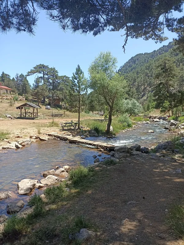 Ağaçlarla çevrili doğal alanda dere, taş geçit ve ahşap yapılar görünmekte.