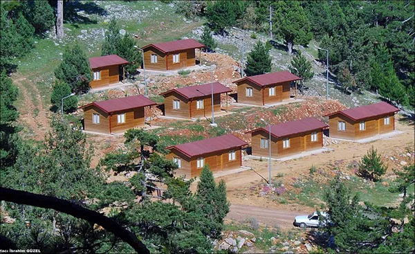 Ahşap tatil kabinleri, ağaçlar arasında huzurlu bir ortamda yer alıyor.