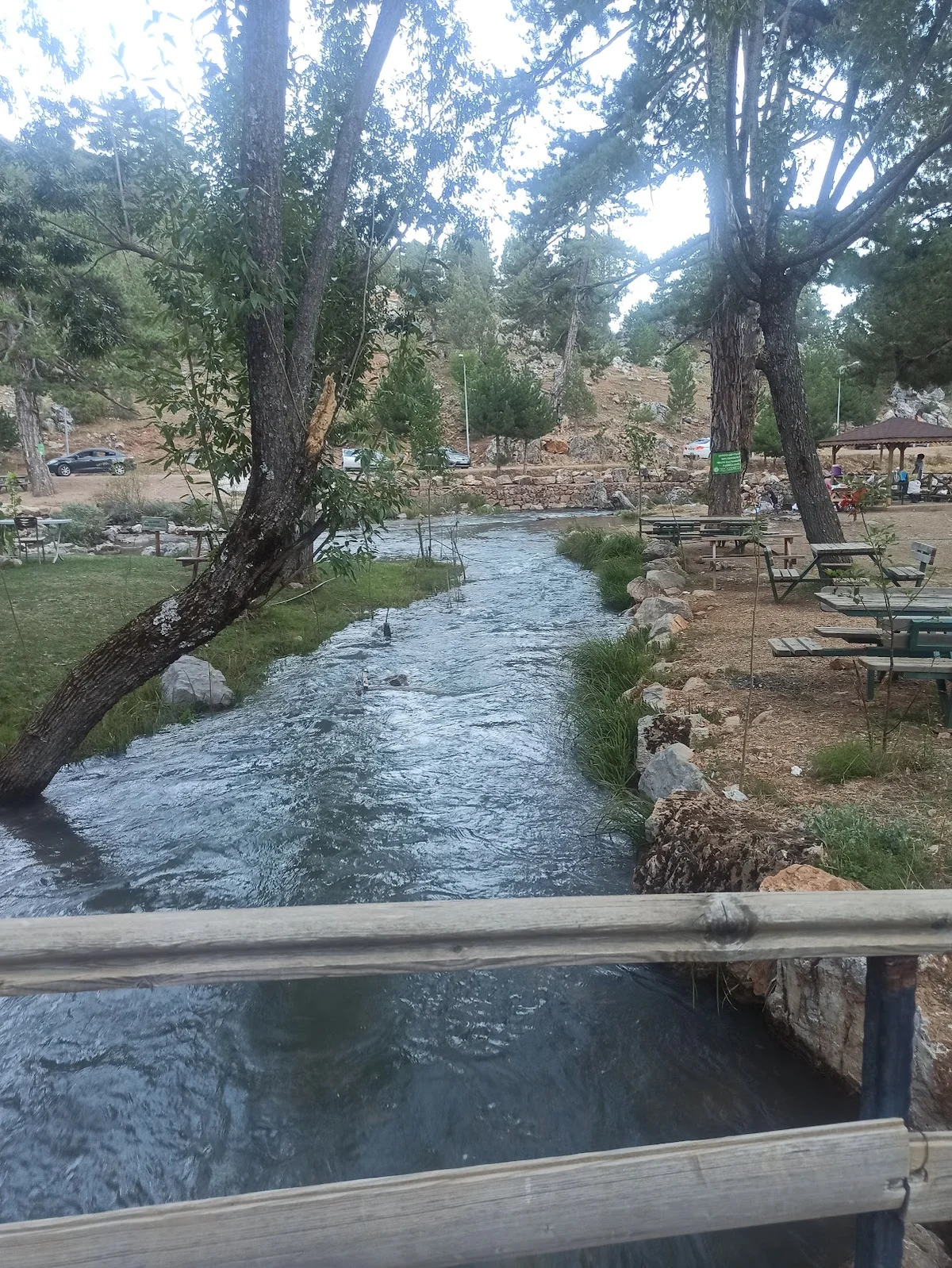 Isparta Başpınar Tabiat Parkı: Isparta'nın Jeolojik Hazinesi ve Karstik Yapıları