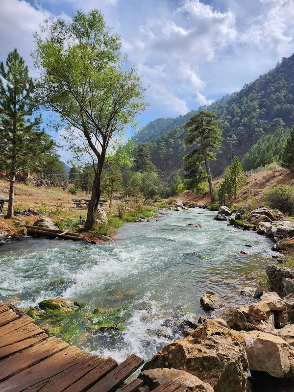 Yeşil kıyılar arasında akıntılı nehir ve ağaçlarla dolu manzara.