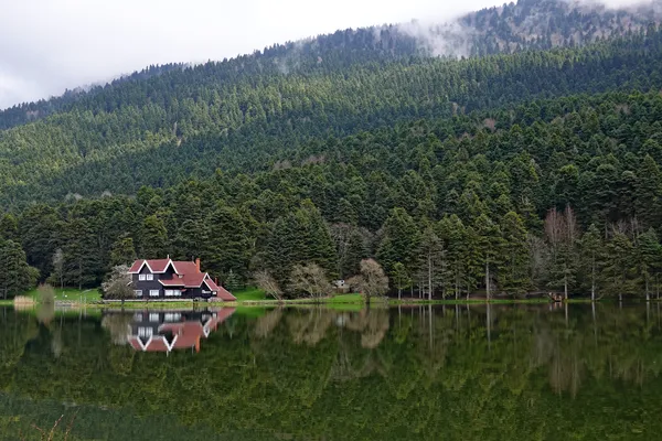 Sakin göl kenarında kırmızı çatılı dağ evi ve yansımaları.