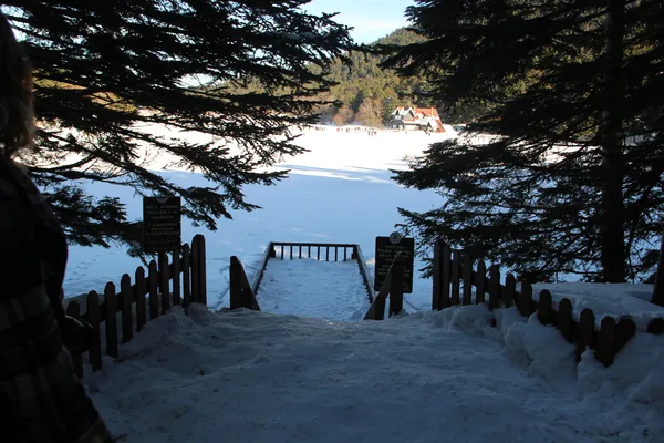Karlı manzarada kaydırak ve gölet, çevresinde ağaçlar ve insanlar var.