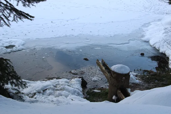 Karla kaplı alanda donmuş su birikintisi ve ahşap boru.