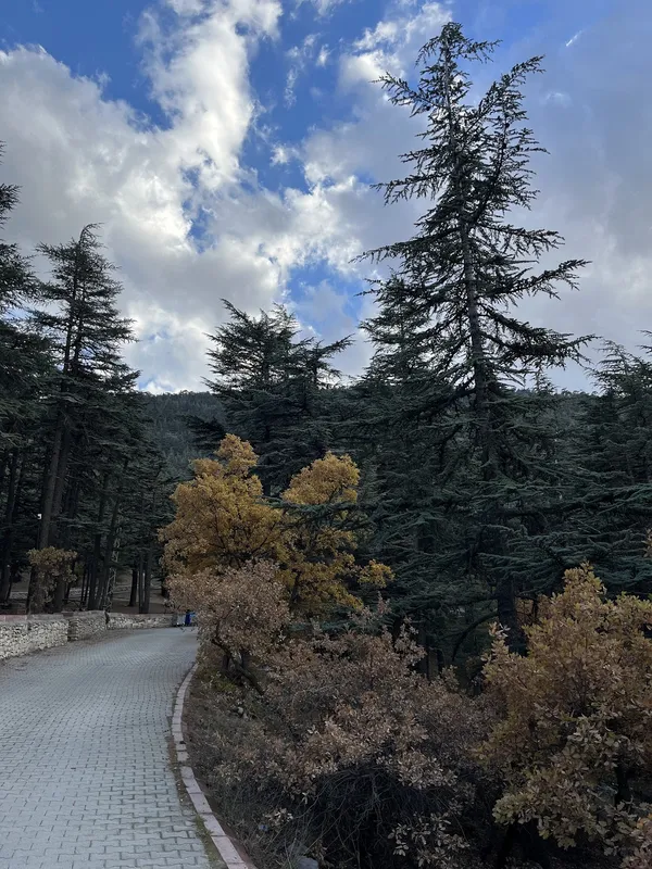 Isparta Kızıldağ Milli Parkı: Isparta'nın Endemik Bitki Cenneti ve Doğa Turizmi Rehberi