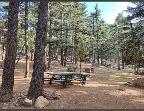 Isparta Kızıldağ Milli Parkı: Isparta'nın Endemik Bitki Cenneti ve Doğa Turizmi Rehberi