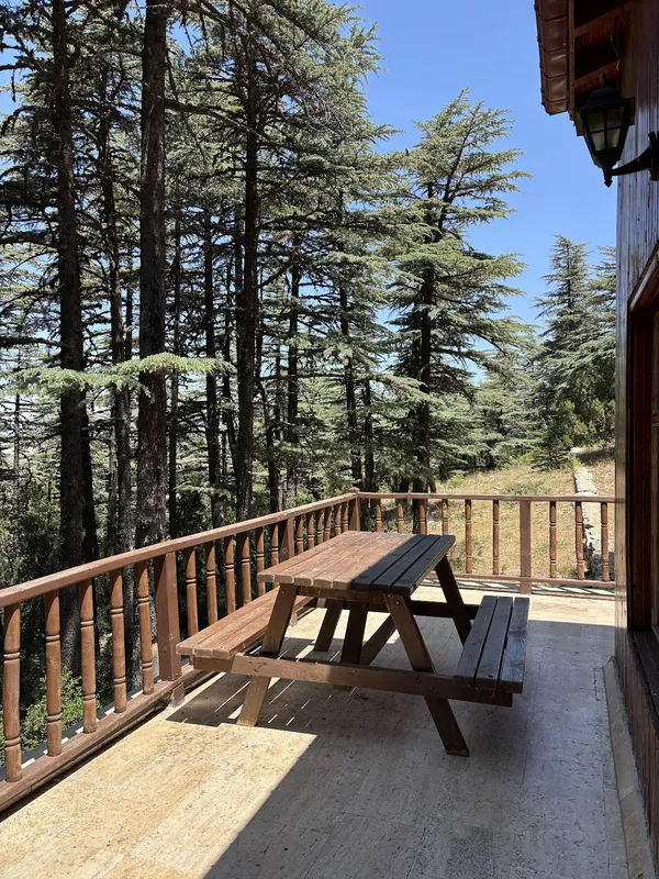 Yeşil ağaçlarla çevrili terasta ahşap masa ve bank yer alıyor.