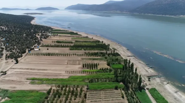 Göl kıyısında ince kum şeridi ve yeşil tarım alanları manzarası