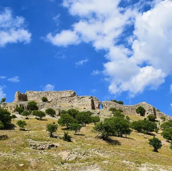 Tepede yer alan Uluborlu Kalesi'nin taş duvarları ve çevresindeki çam ağaçları