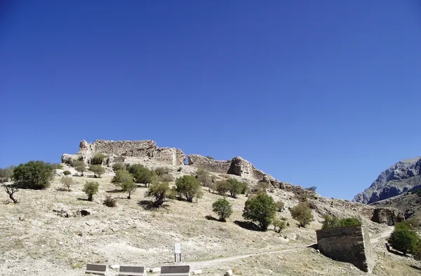 Açık mavi gökyüzü altında yer alan eski taş kalıntılar ve doğal ağaçlar.