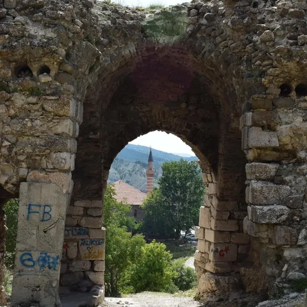 Eski taş kemer, arka planda cami minaresi ve yeşil ağaçlarla ev görüntüsü.