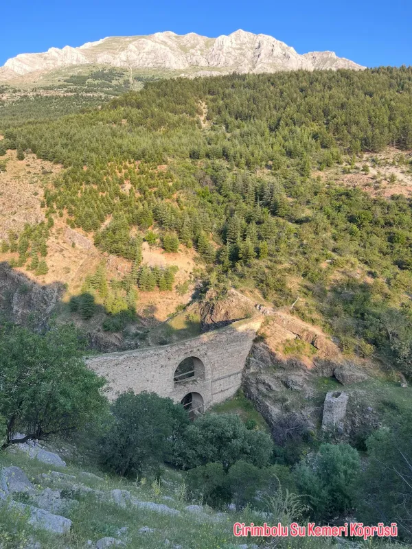 Yüksek dağlar arasında tarihi taş köprü ve yemyeşil doğa manzarası.