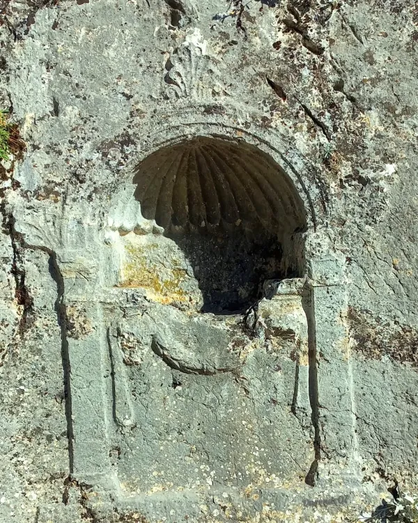 Kayaya oyulmuş tarihi yapı, kabuk detayları ve doğal bitki örtüsü ile kaplı.