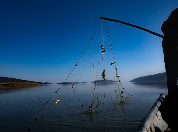 Sakin su yüzeyinde balıkçı teknesi ve asılı ağda balıklar