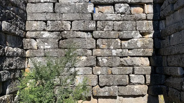 Aşınmış taş duvar, kenarında çalılar ve mavi gökyüzü ile antik kalıntıları betimliyor.