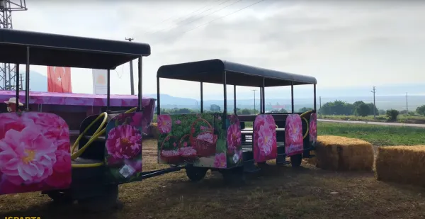 Renkli bir turistik tramvay, pembe çiçeklerle süslü, yeşil alanlar ve dağ silueti arka planda.