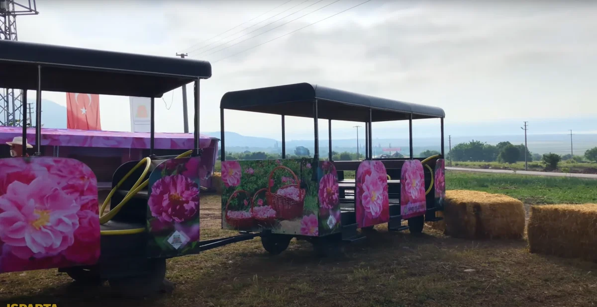 Renkli Tramvay Yolculuğu - Güneykent'in Çiçeklerle Bezenmiş Yolları Renkli bir turistik tramvay, pembe çiçeklerle süslü, yeşil alanlar ve dağ silueti arka planda.