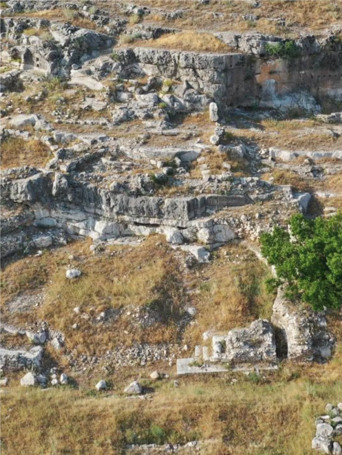 Sarımsı otlar ve taş kalıntıları ile dolu antik alan.