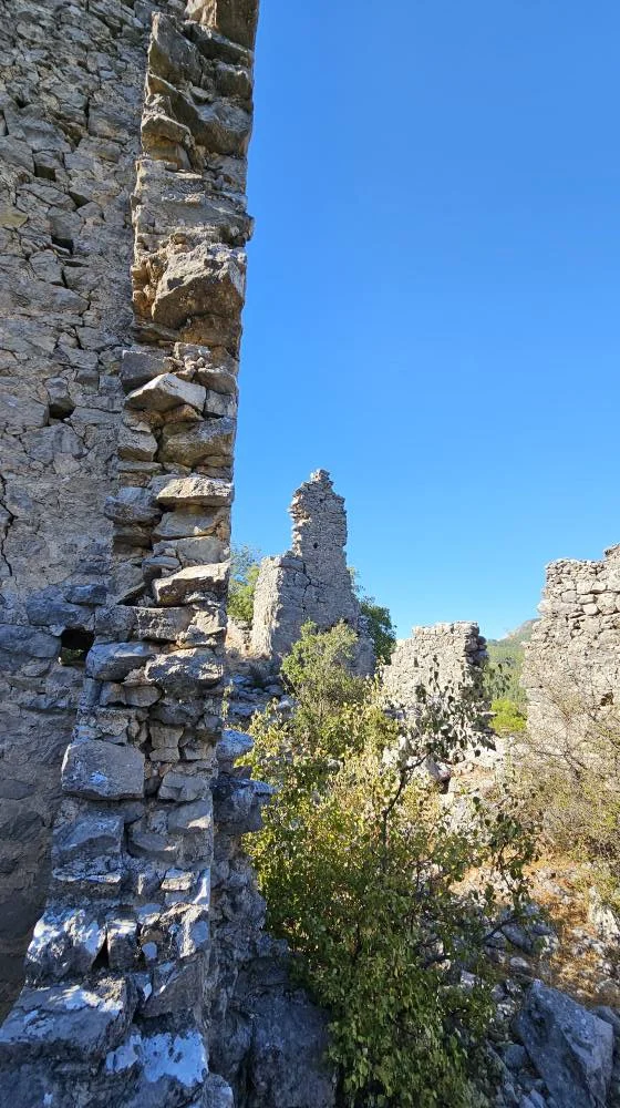 Yıkık taş kalıntılarıyla çevrili yeşil bitkiler, mavi gökyüzü arka planda