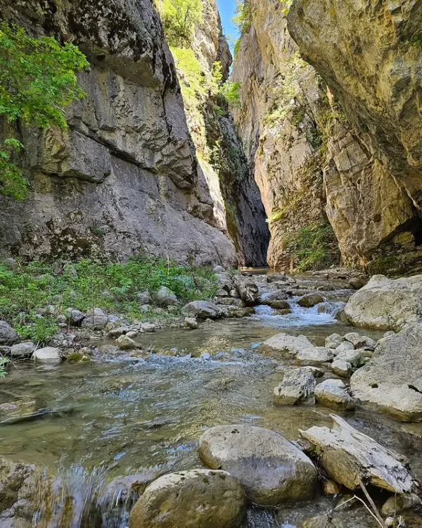 Derin kanyon, yüksek kayalar, sakin dere ve yeşil bitkilerle doğal bir manzara