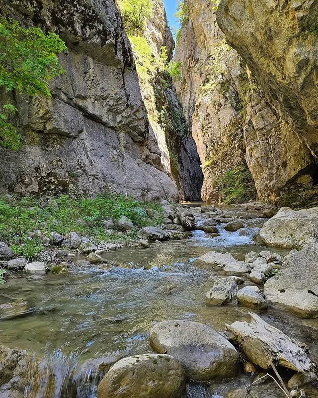Derin kanyon, yüksek kayalar, sakin dere ve yeşil bitkilerle doğal bir manzara
