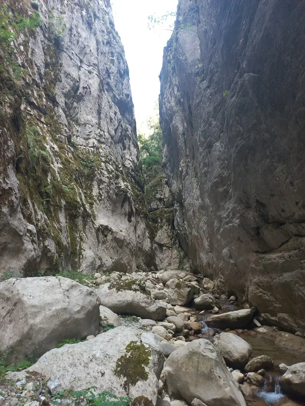 Yüksek kayalık duvarlar arasında dar bir kanyon, yeşil bitki örtüsü ve su akıntısı.