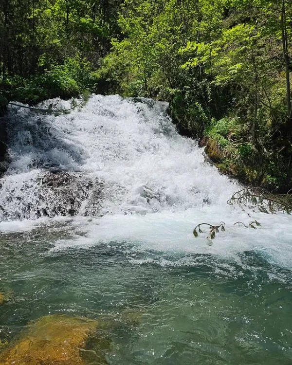 Yeşil ağaçların arasında akan mavi suyla huzur veren şelale