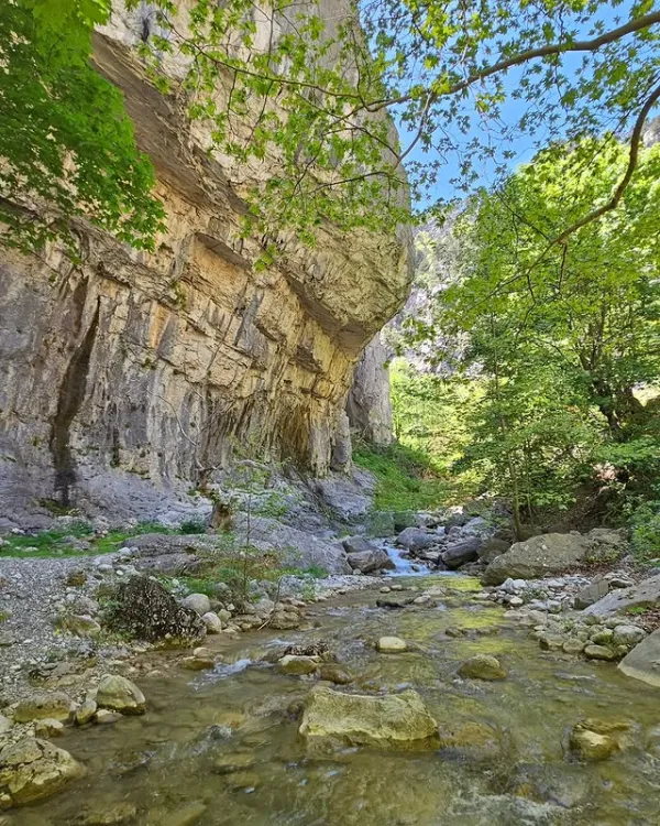 Yaka Kanyonu'nda yüksek kayalar arasındaki yemyeşil vadi ve akan su