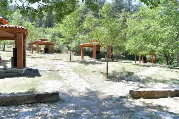 Isparta Milas Mesireliği: Isparta'nın Ekolojik Hazinesi ve Doğa Gözlem Rehberi