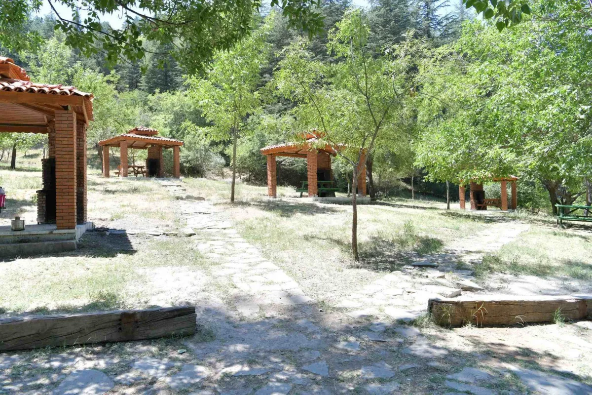 Doğal alanda yer alan tuğla yapılar ve yeşil ağaçlar