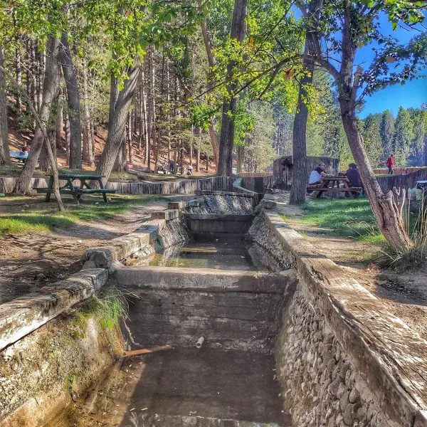 Düzenli su kanalı, taşlarla çevrili, gölgeli ağaçlar altında piknik masalarıyla doğal bir dinlenme alanı.