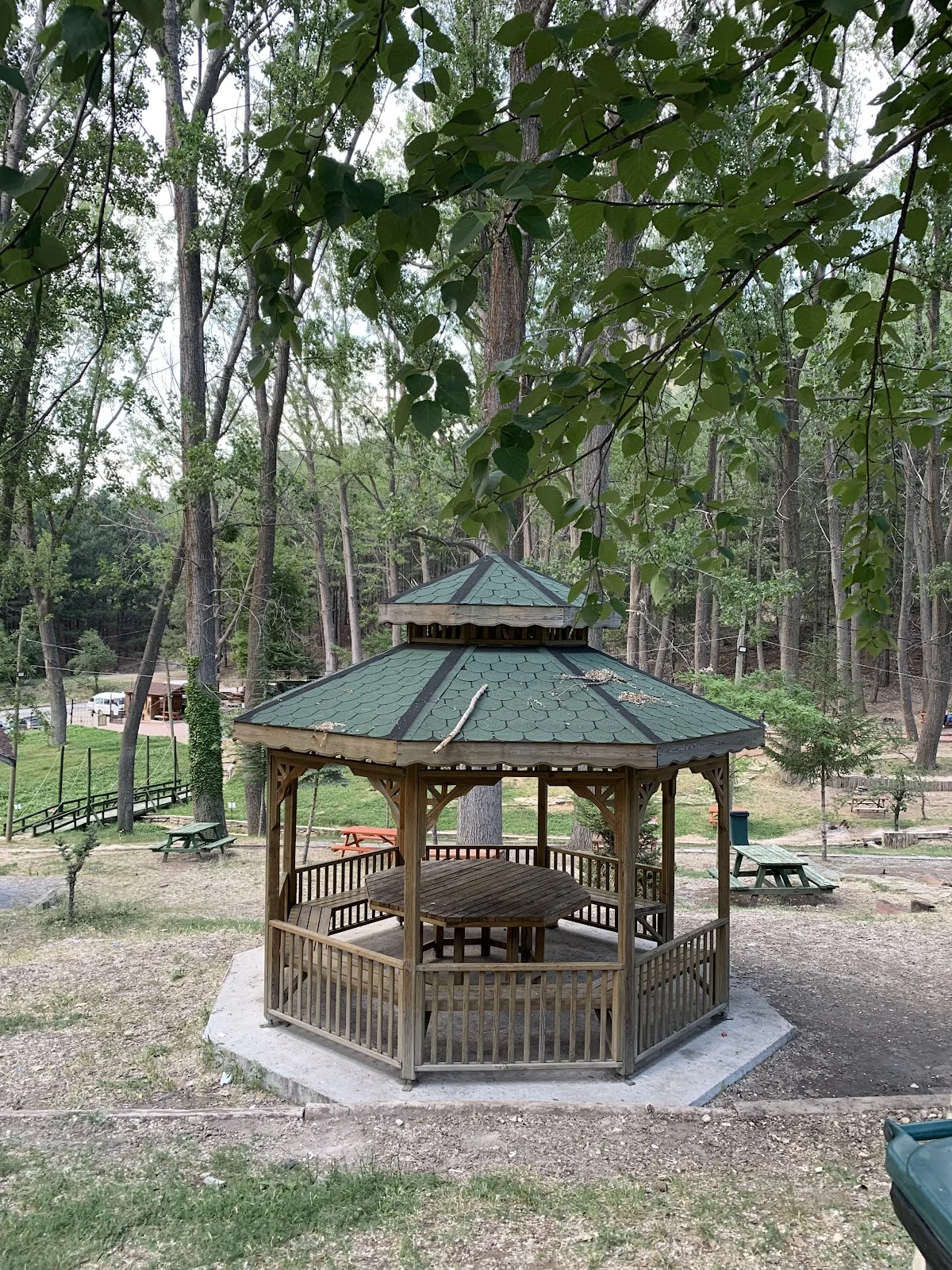 Milas Mesireliği'nde Huzurlu Anlar: Ahşap Gazebo ve Doğal Ortam Ağaçlarla çevrili ahşap gazebo, yeşil çatı ve piknik masalarıyla doğal bir ortam sunuyor.