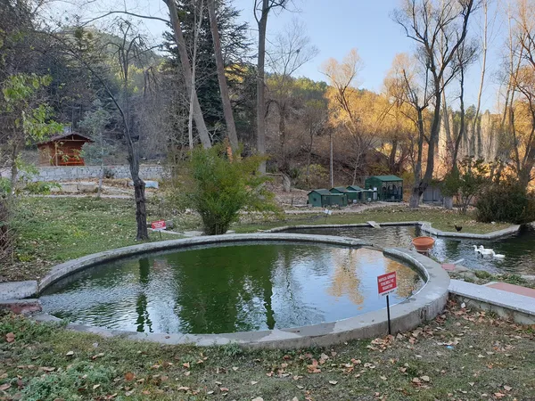 Dairesel havuz, yeşil çimenler ve sonbahar renkli ağaçlarla çevrili doğal alan.