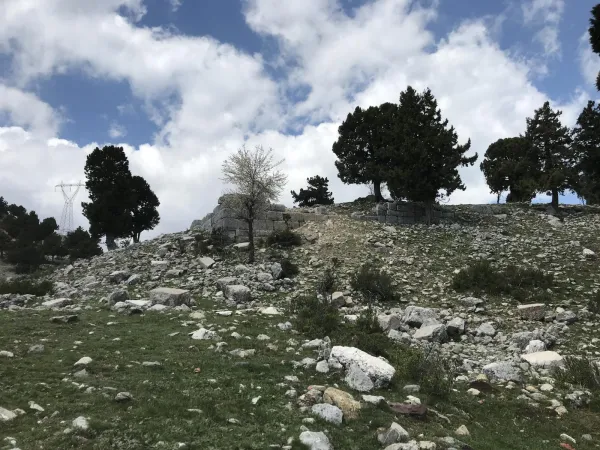 Yeşil çimen örtüsü ve çam ağaçlarıyla dağlık bir alan