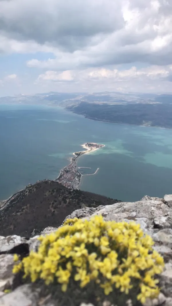 Sarı çiçeklerin ön planda olduğu, arka planda su manzarası ve dağlar ile etkileyici bir doğal görüntü.
