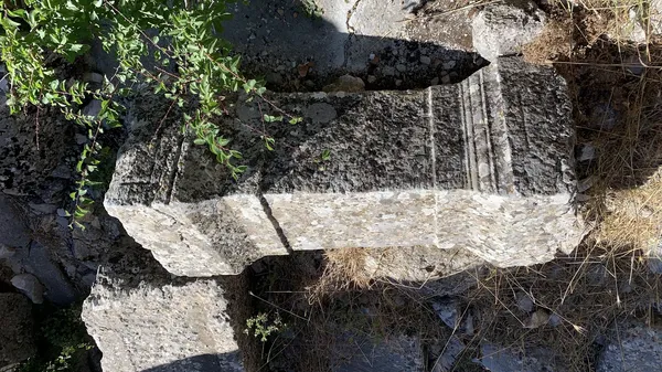 Prostanna Antik Kenti'nde doğal ortamda büyük bir taş blok ve çevresindeki yeşil bitkiler.