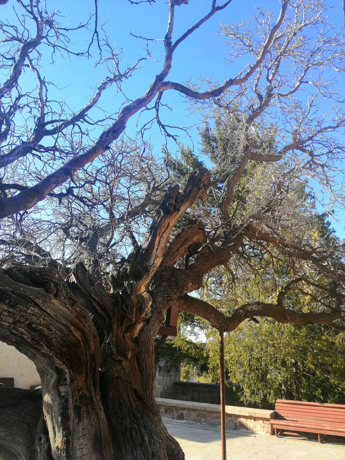 Isparta Seyyid Veli Baba Sultan Türbesi: (Resimleri Sesli Dinle + Galeri Belgesel Modu)