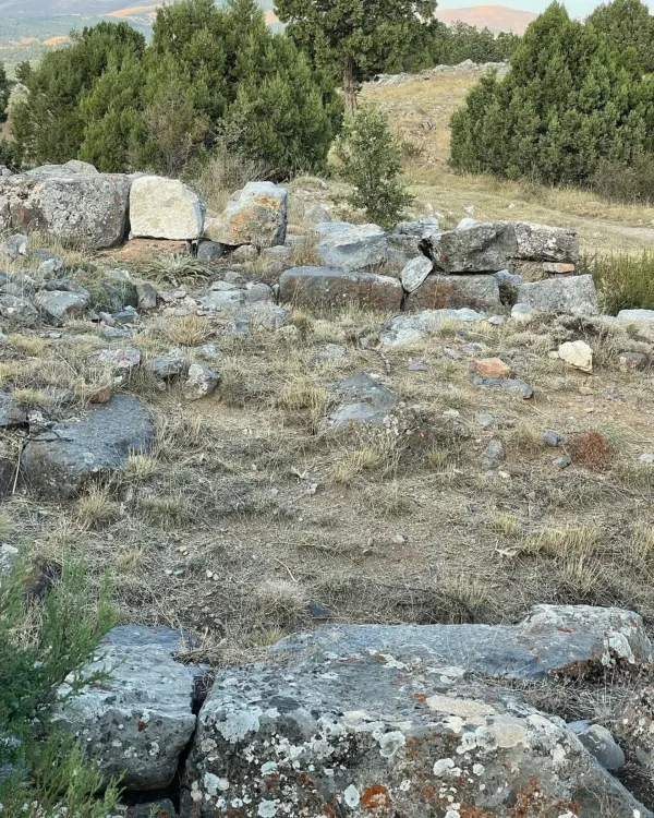 Büyük taşlardan oluşan tapınak kalıntıları, çevresinde yeşil ağaçlar var.