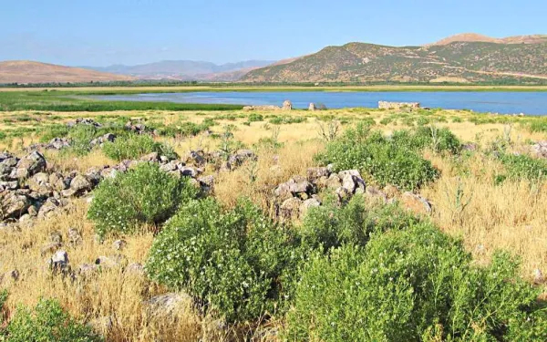 Açık sarı otlarla kaplı arazi, yeşil bitkiler ve sakin göl manzarası