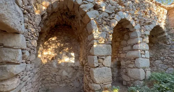 Eski taş yapının kalıntıları ve çevresindeki yeşil bitkiler.