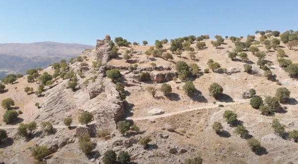 Sarp arazideki Cirimbolu su kemerinin tarihi kalıntıları ve çevresindeki yeşil ağaçlar