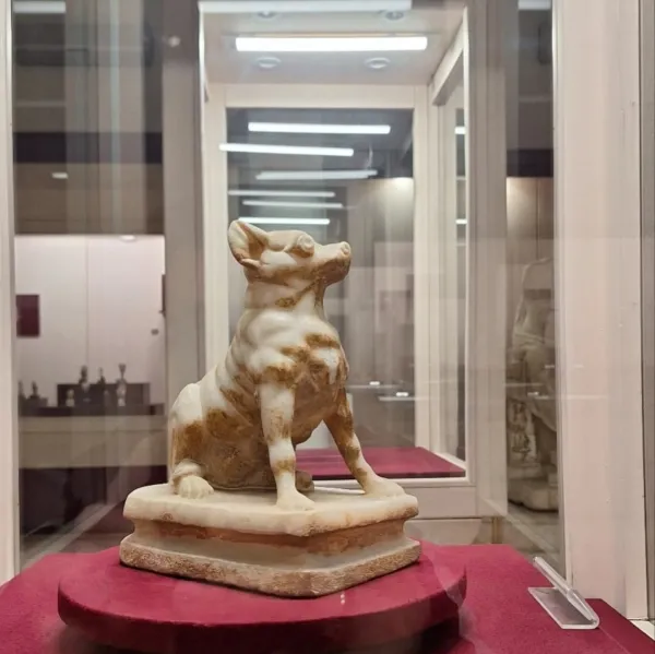 Şeffaf vitrin içinde oturan köpek heykeli, dikkatli bir şekilde çevresine bakıyor.