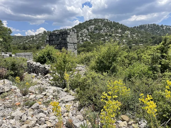 Yeşil bitki örtüsüyle kaplı alanda taş kalıntılar ve arka planda kayalık yamaçlar