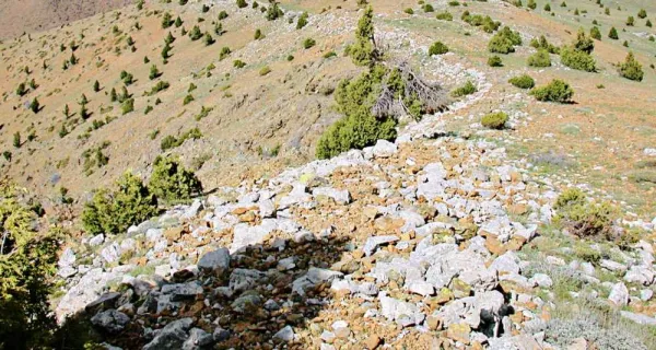 Taşlık bir alan, yeşil bitki örtüsü ve çam ağaçlarıyla çevrili dağ manzarası