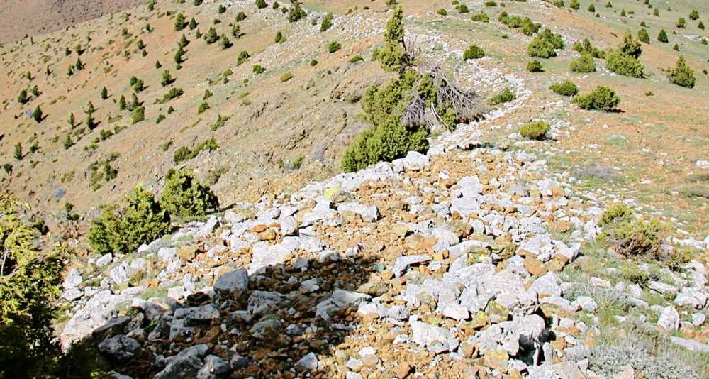 Taşlık Alanlar ve Çam Ağaçlarıyla Çevrili Dağ Manzarası - Anaboura Antik Kenti Taşlık bir alan, yeşil bitki örtüsü ve çam ağaçlarıyla çevrili dağ manzarası
