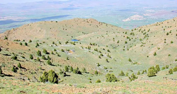 Yeşil dağlarla çevrili doğal bir alan, tarım arazileri ve çam ağaçlarıyla dolu