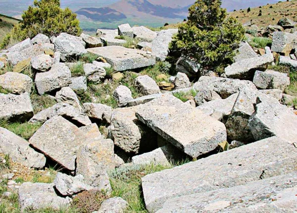 Büyük taş parçalarının bulunduğu doğal bir alan, yeşil bitkilerle kaplanmış.