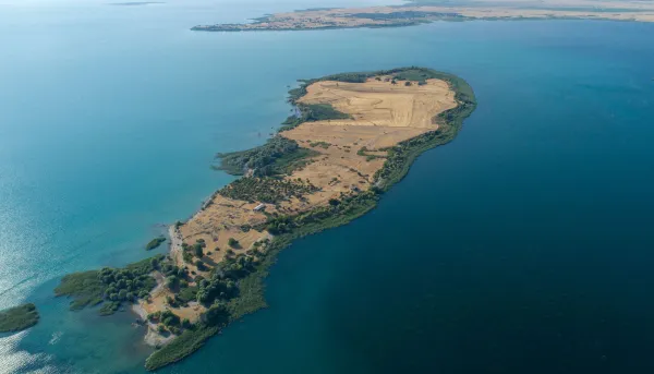 Turkuaz suyla çevrili, yeşil ve sarı alanlarla kaplı ada manzarası