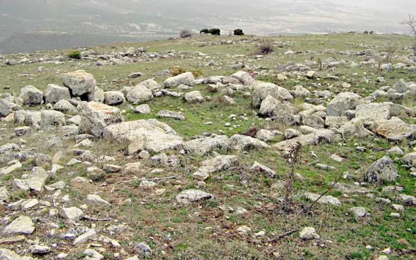 Açık alanda yuvarlak taşlar ve aralarındaki yeşil otlarla doğal bir manzara.