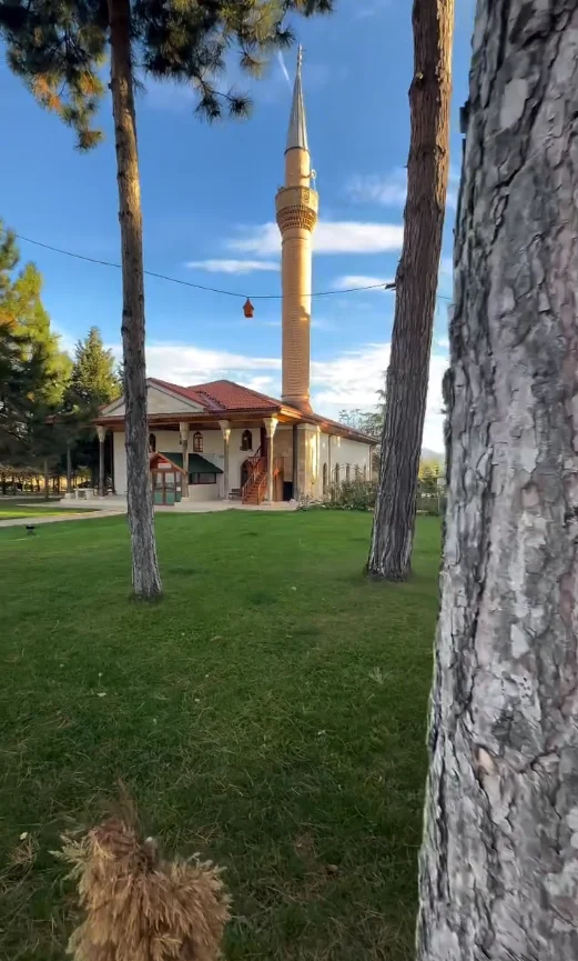 Yeşil alanda yer alan yüksek minareli klasik Osmanlı camii ve çevresindeki ağaçlar.